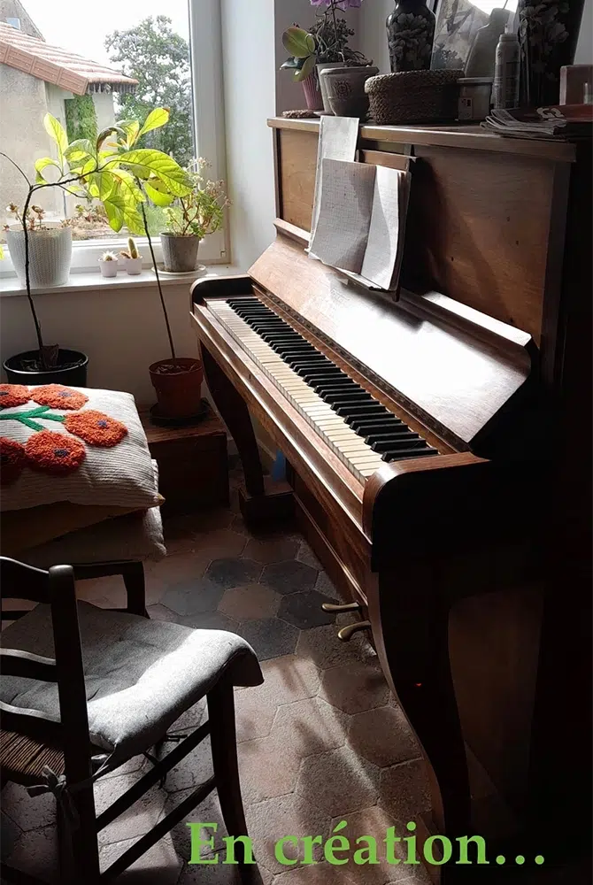 PHOTO spectacle à corps et a soi la pianiste, son double et ses doutes popcorn compagnie